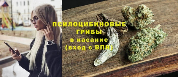 экстази Арсеньев