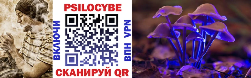 как найти закладки  Кудрово  сайты даркнета клад  Галлюциногенные грибы Cubensis 